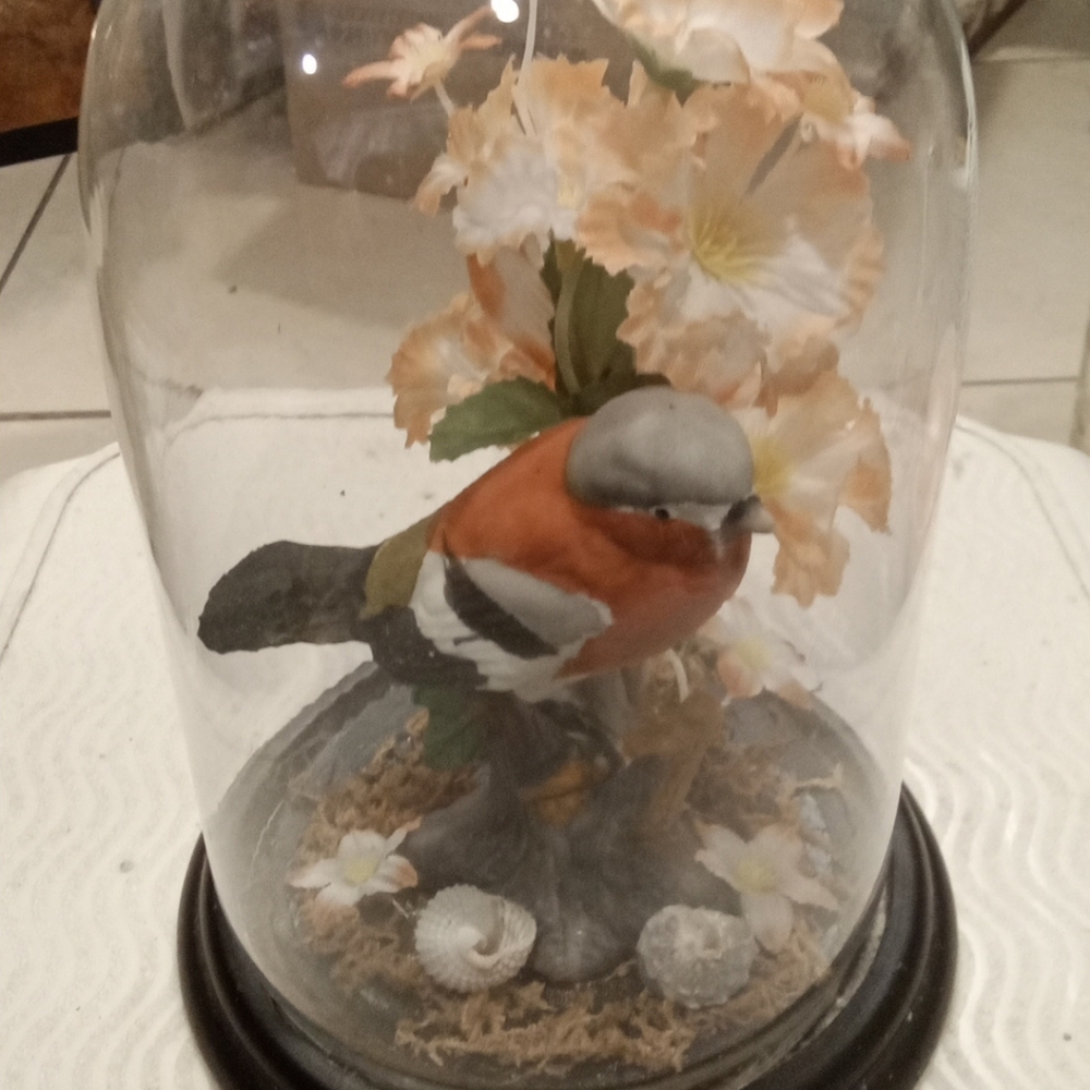 Vintage Kitchy Kmart Baltimore Orioles W Flowers,seashells Bird Diorama Classic